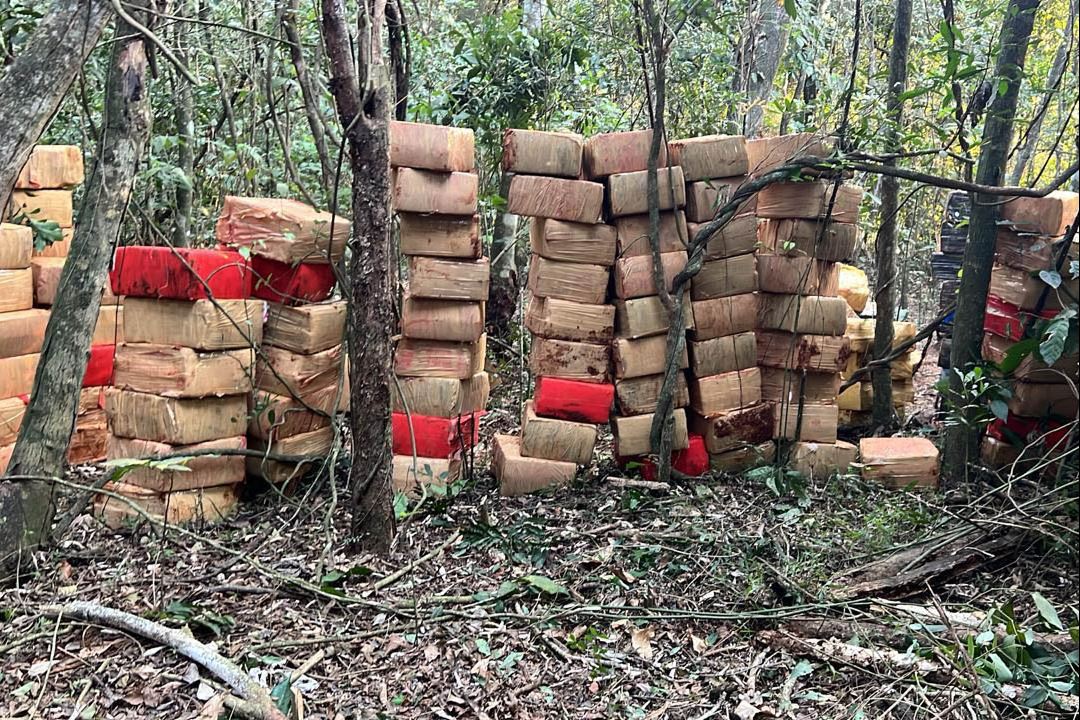 PMPR apreende 6 toneladas de maconha em área rural de Marechal Cândido Rondon